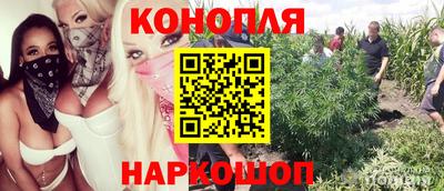 скорость Аша