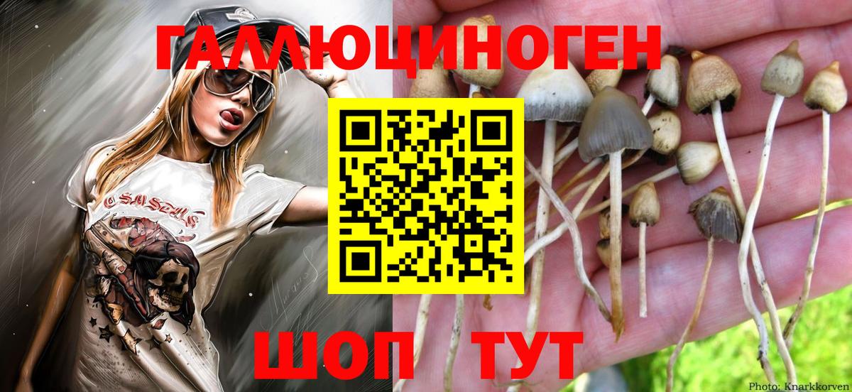 Галлюциногенные грибы Psilocybe  Вход с VPN  Белореченск  Галлюциногенные грибы Magic Shrooms 